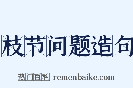 枝节问题造句是什么意思的图片